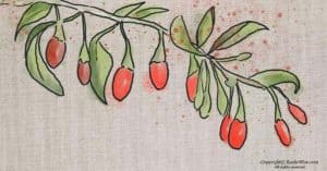 How to Grow Goji Berries from Cuttings: An Easy Step-by-Step Guide