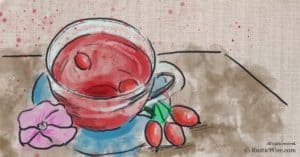 What is Rosehip Tea Good for: 5 Health Benefits and How to Make It