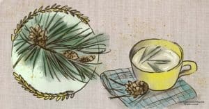 Foraging Pine Needles: Pine Needle Tea Recipe & Cooking Ideas