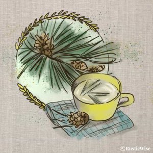 Foraging Pine Needles: Pine Needle Tea Recipe & Cooking Ideas