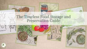The Timeless Food Storage and Preservation Guide