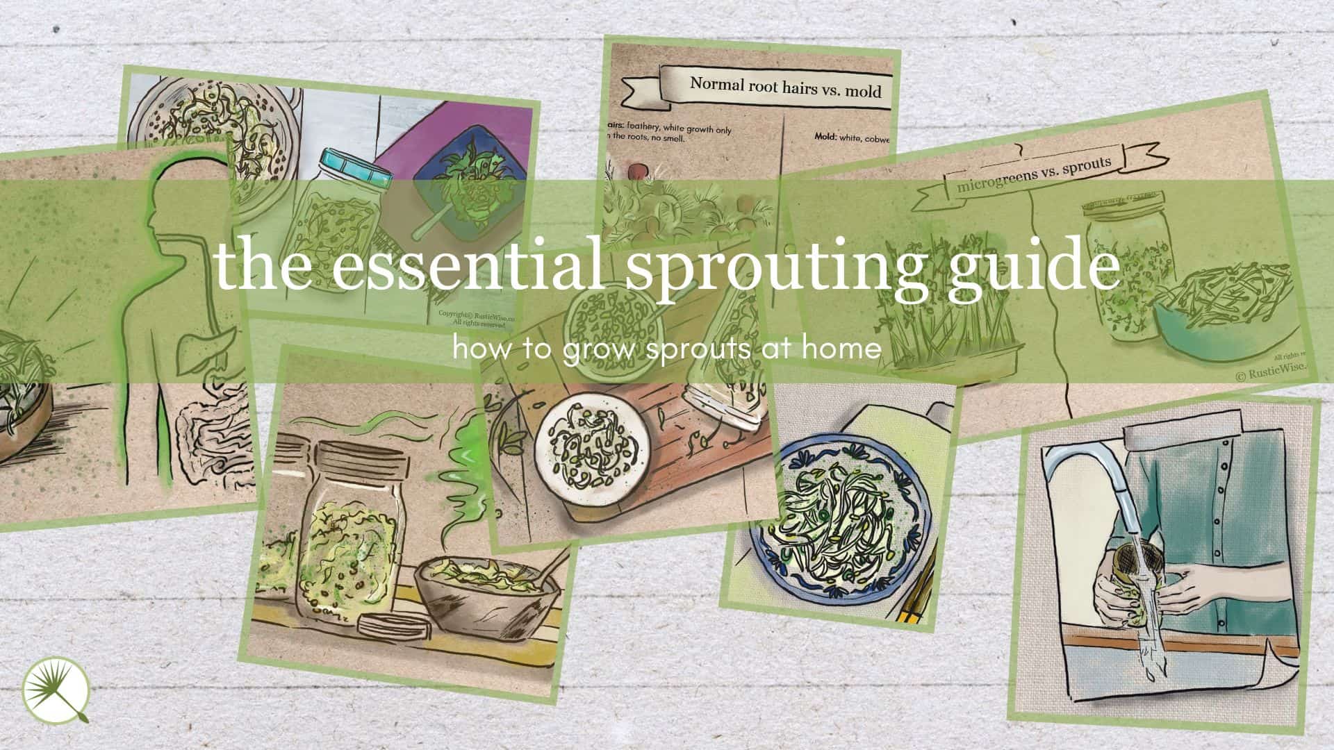 RusticWise.com - Sprouting Guide