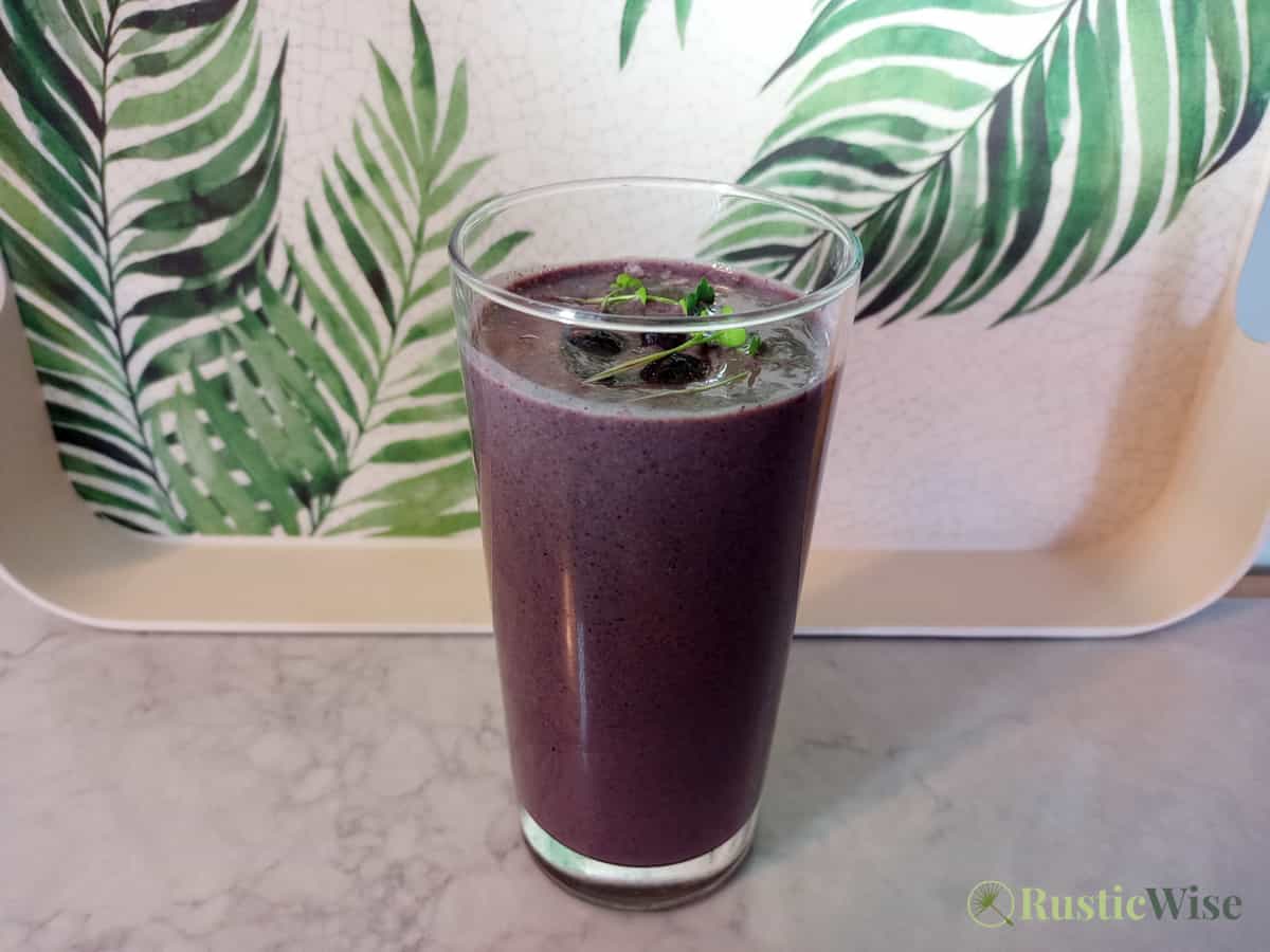 RusticWise, microgreen smoothie recipes, berry recipe