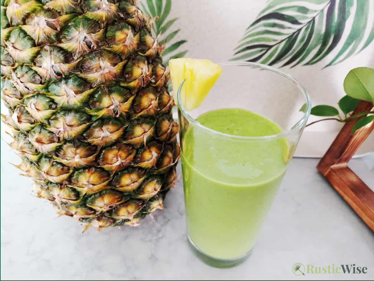 RusticWise, microgreen smoothie recipes, pineapple tropical smoothie recipe