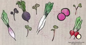 Radish Microgreens Nutrition: Health Benefits, Varieties and How To Grow