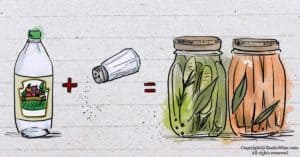 Does Pickling Destroy Nutrients? Here’s What You Need To Know