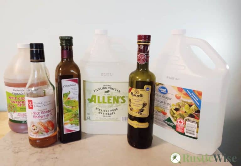 Which Vinegar Is Best For Pickling A Guide To Selecting the Right One