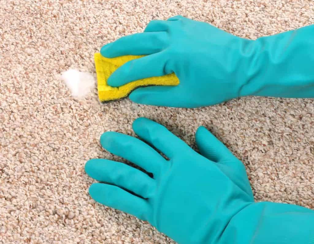 YayImages_HowToDeepCleanCarpetWithoutAMachine_cleaning