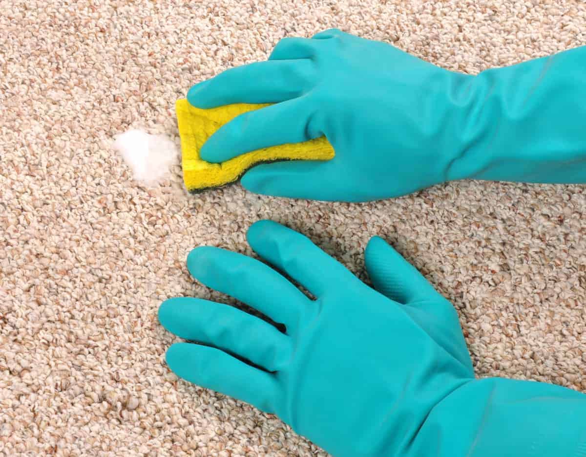 how to deep clean carpet without a machine, cleaning