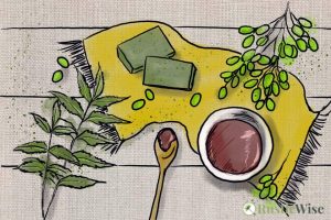 Neem Oil in Soapmaking: A Soothing Moisturizer for Dry Skin