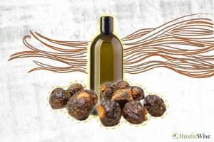 3 Simple Ways To Use Soap Nuts for Hair: DIY Natural Shampoo