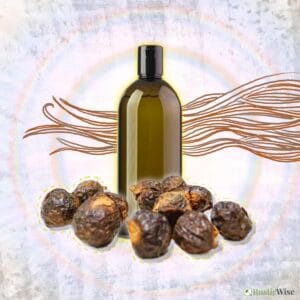 3 Simple Ways To Use Soap Nuts for Hair: DIY Natural Shampoo