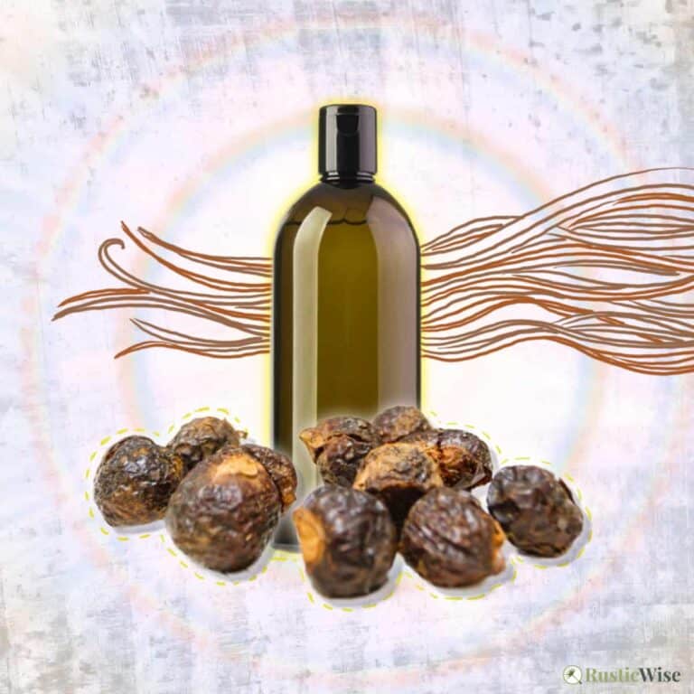 RusticWise, soap nuts for hair, soap nut shampoo