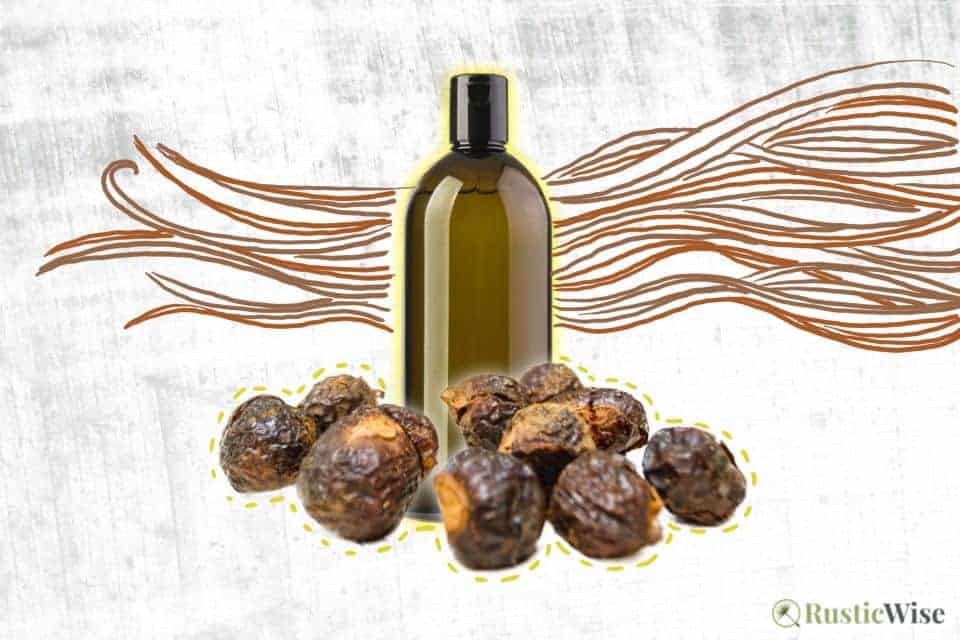 RusticWise, soap nuts for hair, soap nut shampoo