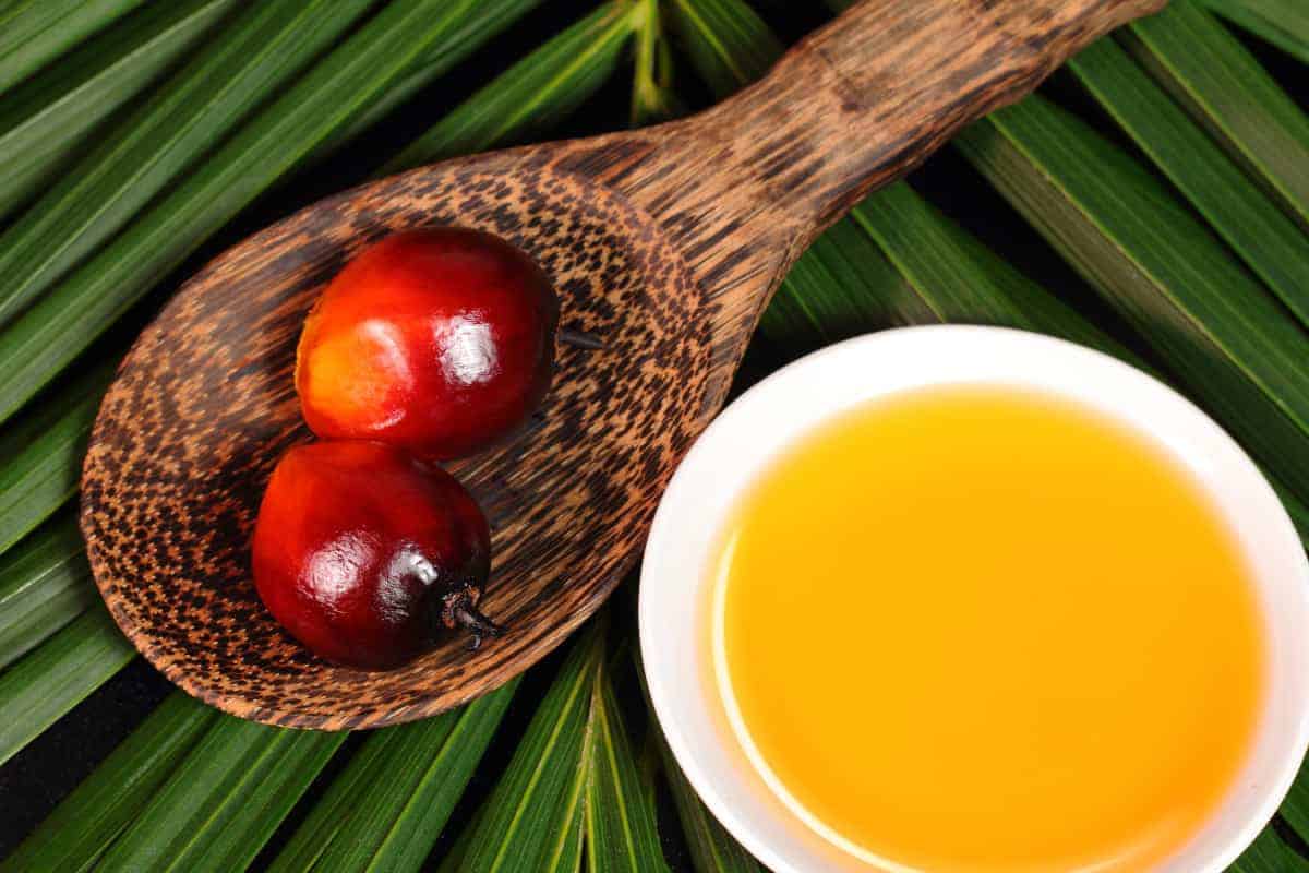 Palm Oil Vs Palm Shortening