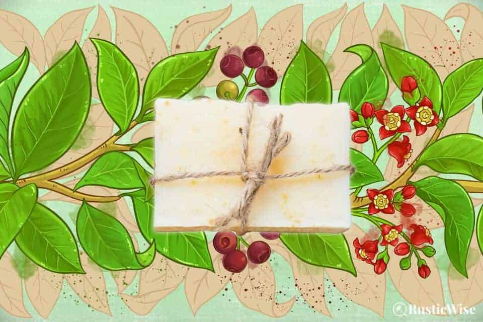 RusticWise, sandalwood soap benefits, natural soap