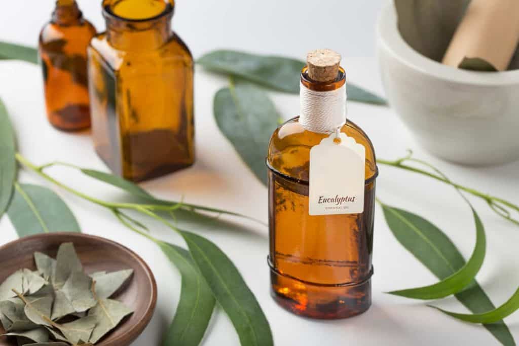 Best fragrance oils for men, eucalyptus essential oil