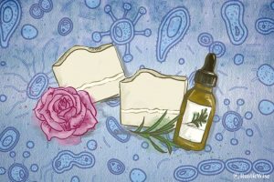 Natural Antibacterial Soap: 13 Essential Oils With Cleansing Power