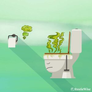 8 Reasons Your Bathroom Smells Like Urine + How To Fix It Fast