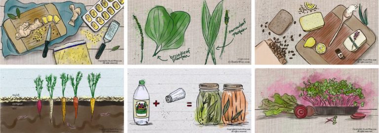 Canning Jar Size Chart Choosing The Right Jar For The Job Rusticwise