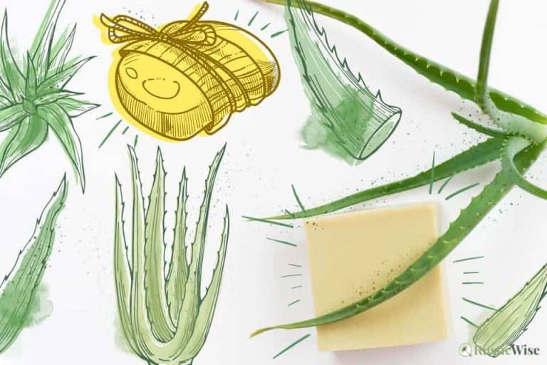 RusticWise, aloe vera soap benefits