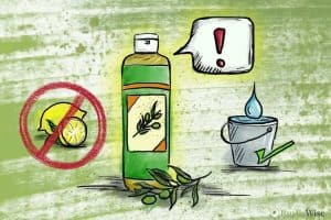 8 Castile Soap Warnings You Should Know