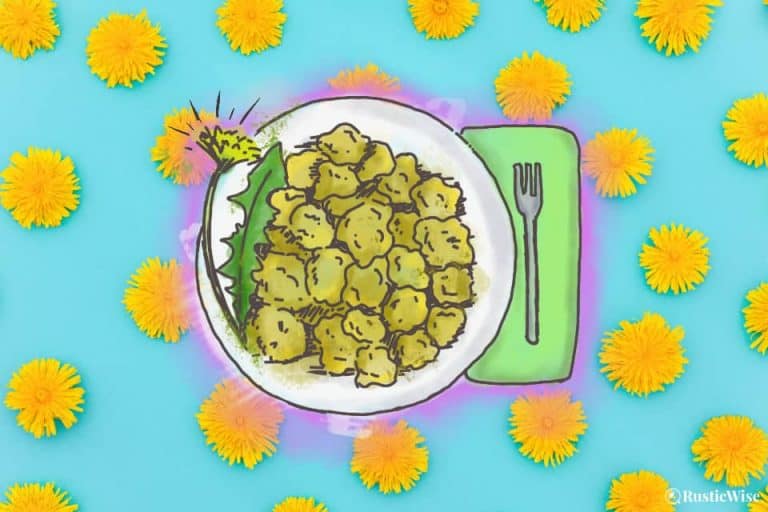 RusticWise, dandelion flower recipe, dandelion flower fritters