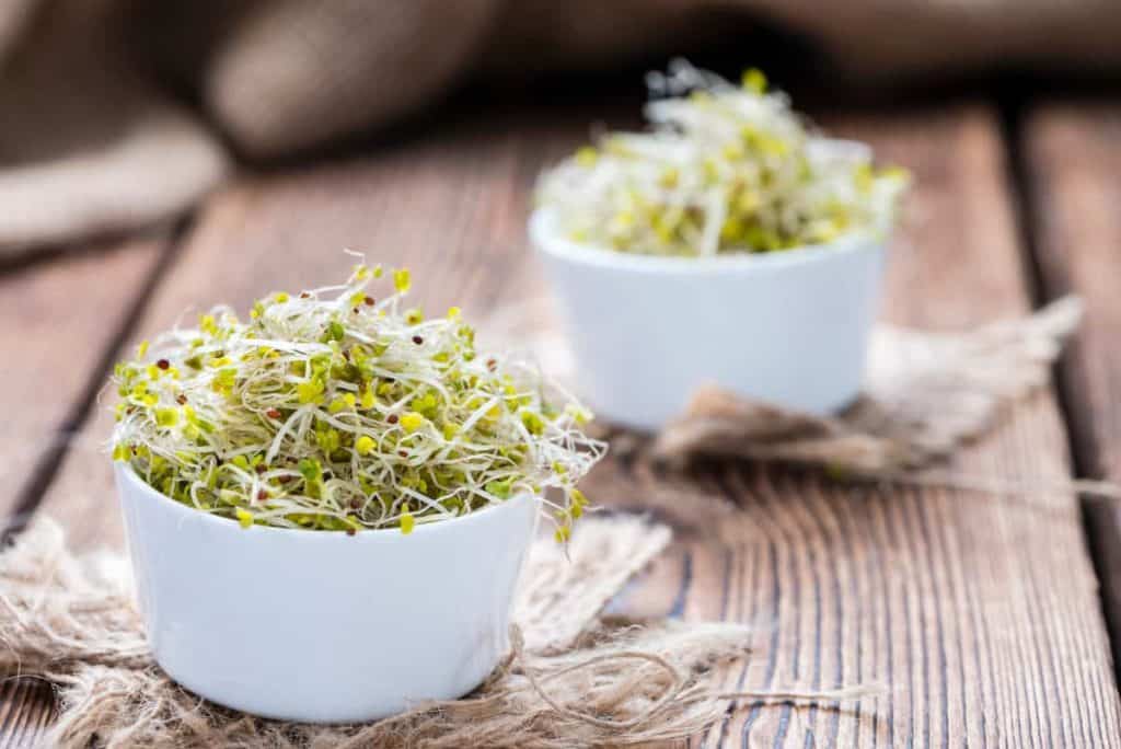 how to juice broccoli sprouts, broccoli sprouts