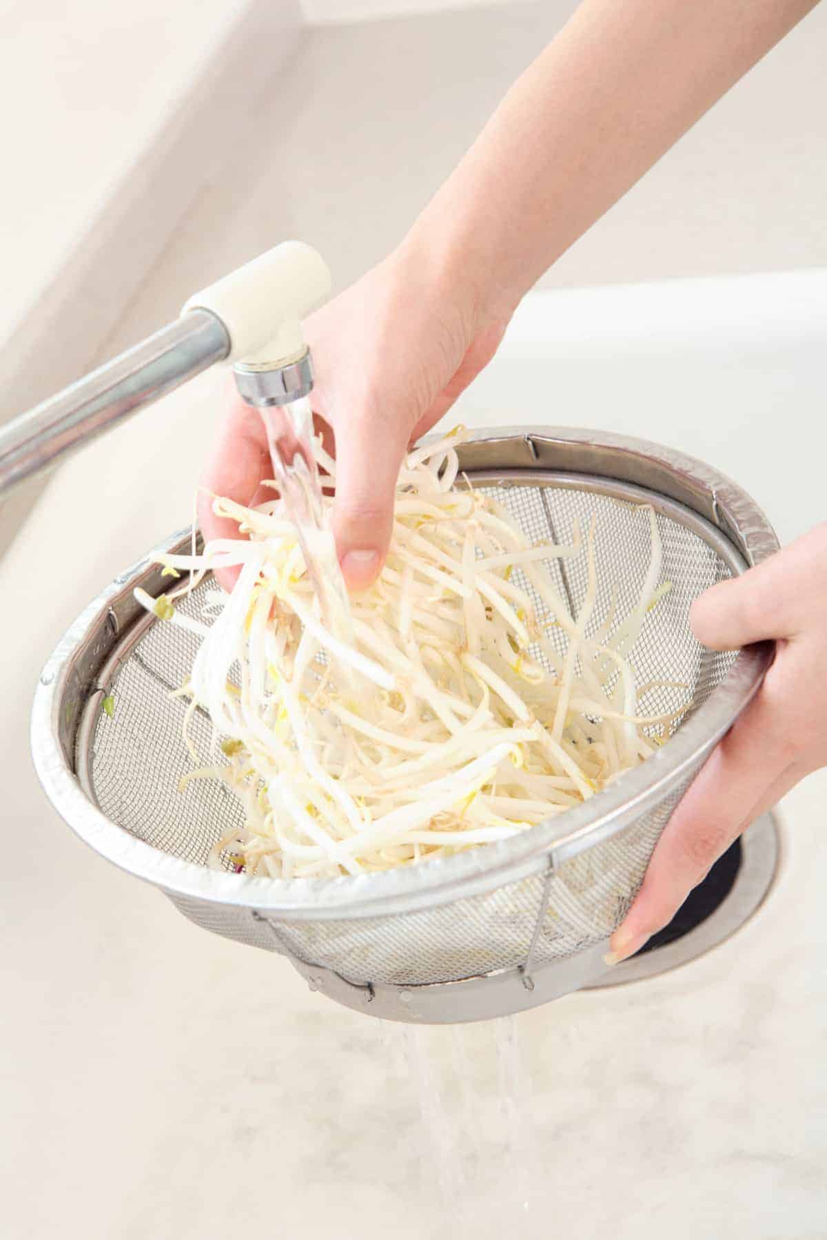 how to keep bean sprouts from going bad, woman washing sprouts