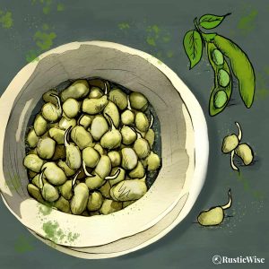 How To Grow Soybean Sprouts at Home for a Protein Boost