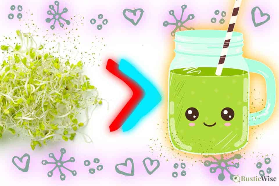 RusticWise, how to juice broccoli sprouts
