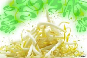 6 Tips on How To Keep Bean Sprouts From Going Bad