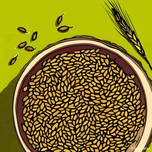 How To Sprout Farro at Home: A Tasty and Nutty Ancient Grain