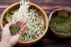 6 Tips on How To Keep Bean Sprouts From Going Bad – RusticWise