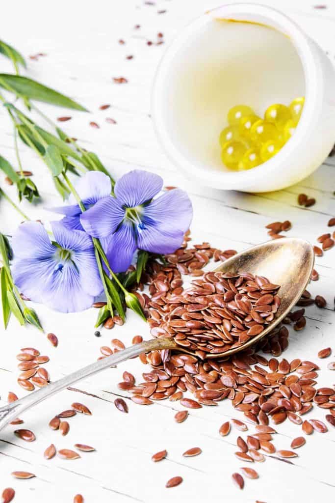 how to sprout flax seeds, linseed seeds and flower