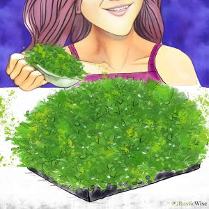Can You Eat Microgreens Raw? And Will They Make You Sick?