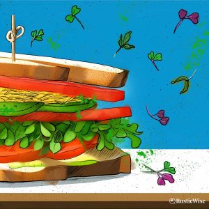 Top 9 Microgreens Sandwich Ideas
