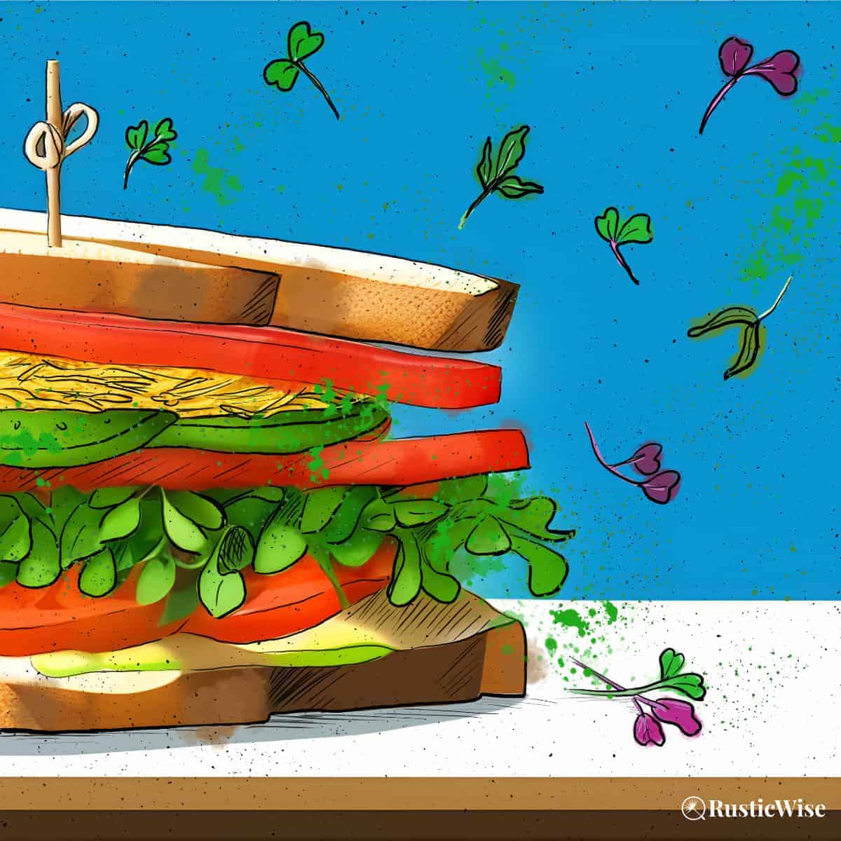 RusticWise, microgreens sandwich
