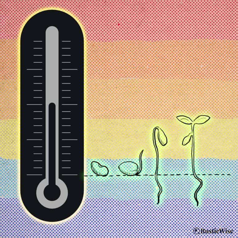 RusticWise, what temperature do microgreens need to grow