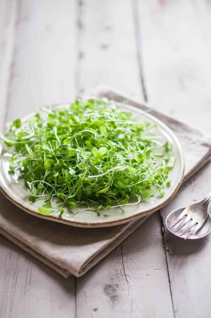 can you eat microgreens raw, microgreens on plate