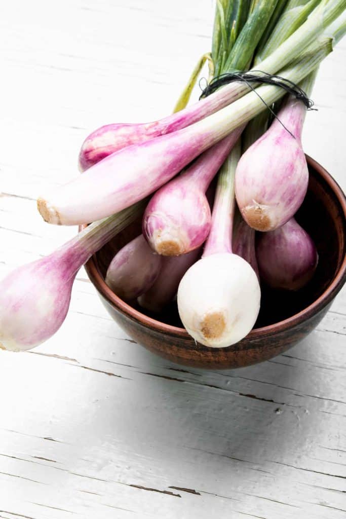 onion microgreens, fresh onion bulbs