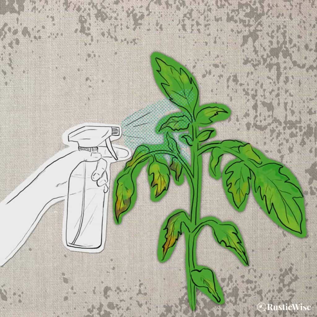RusticWise, does soapy water kill plants, illustration of spray bottle and plant