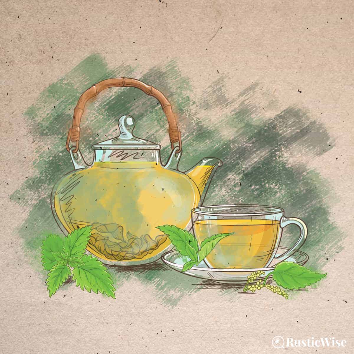 RusticWise, how to make nettle tea, illustration of teapot and cup