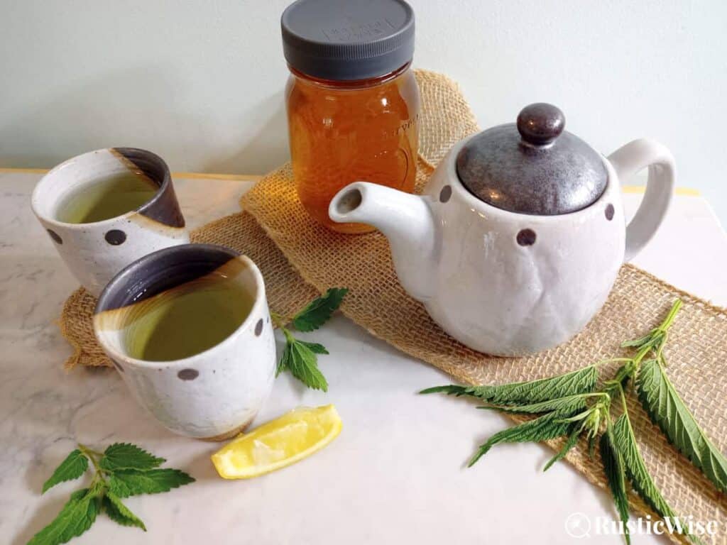 RusticWise, how to make nettle tea, tea cups