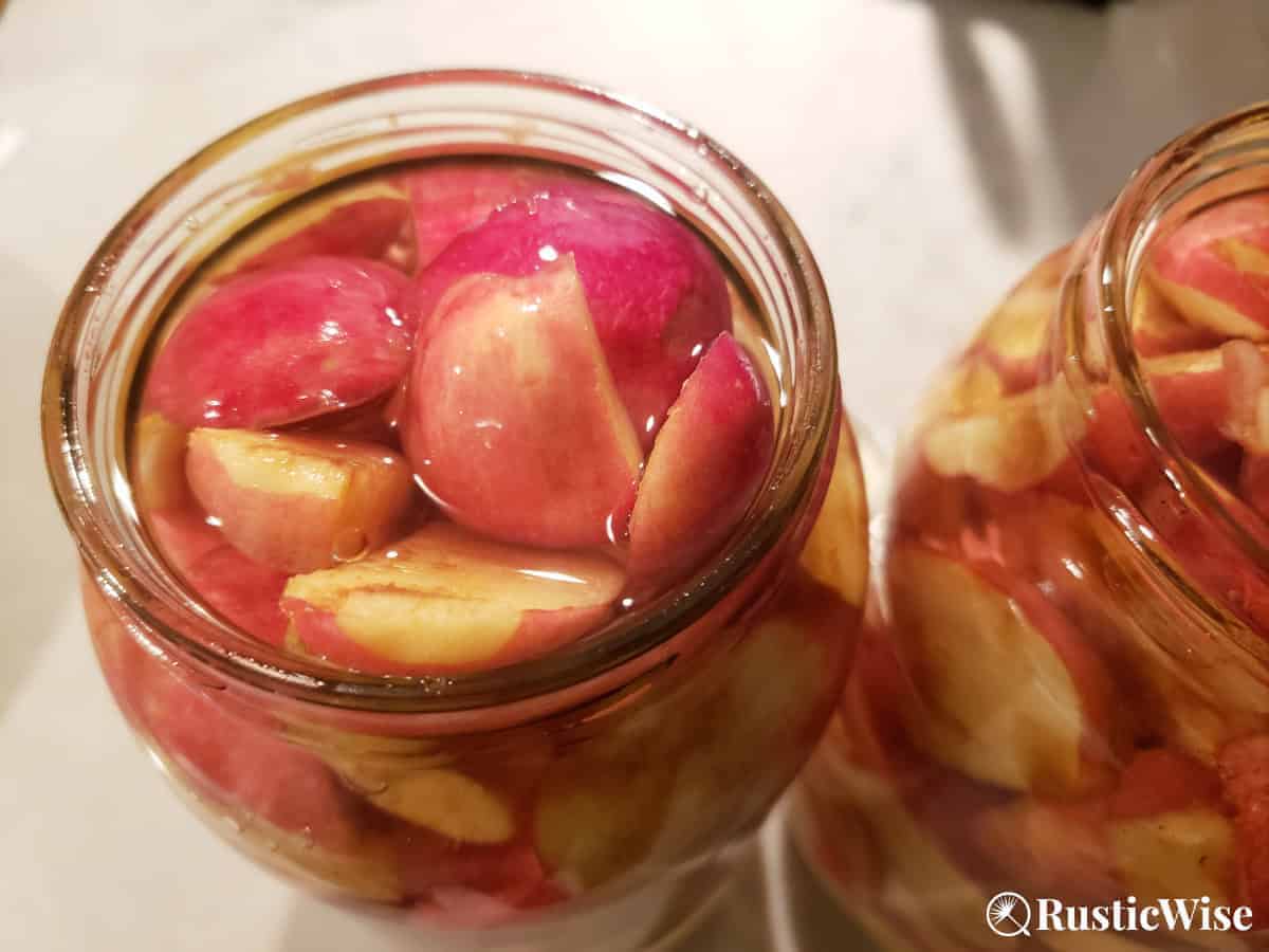 Easy DIY Crab Apple Liqueur Recipe: 3 Variations – RusticWise