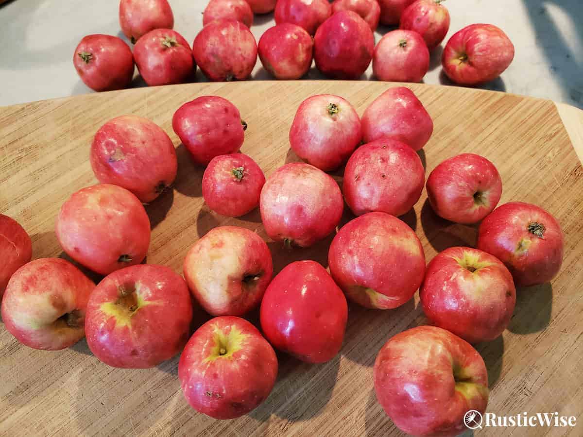Easy DIY Crab Apple Liqueur Recipe: 3 Variations – RusticWise