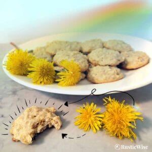 RusticWise, Dandelion cookie recipe feature image