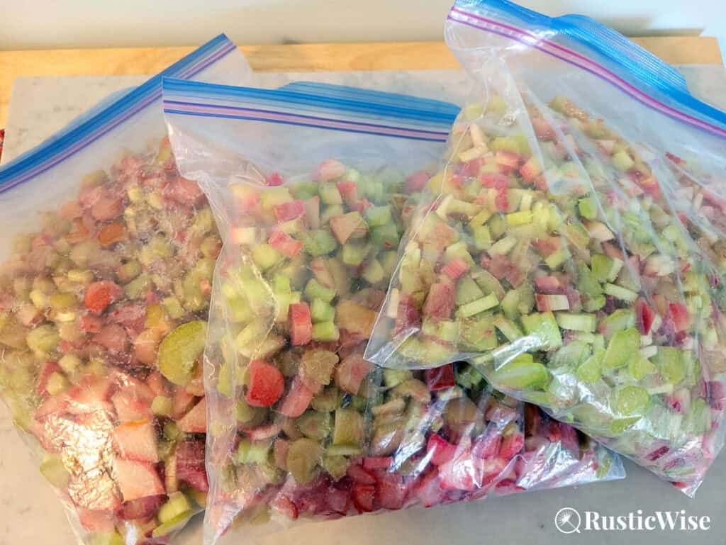 RusticWise, harvesting rhubarb, freezer bagsf