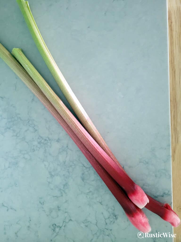 RusticWise, harvesting rhubarb stalks