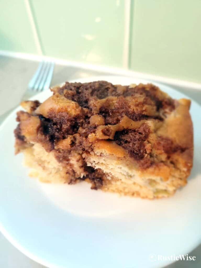 RusticWise, rhubarb cake recipe, slice cake plain